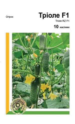 Огурец Триоле F1 10 семян. А Огурец Триоле F1 10 семян. А