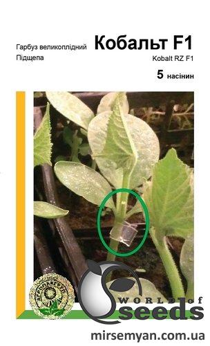 Подвой Кобальт 5 семян. А Подвой Кобальт 5 семян. А