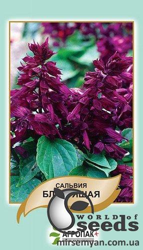 Сальвия пурп.-фиолет. 0,2г А Сальвия пурп.-фиолет. 0,2г А