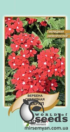 Вербена Спаркл, гибрид низкоросл. 0,1г А Вербена Спаркл, гибрид низкоросл. 0,1г А