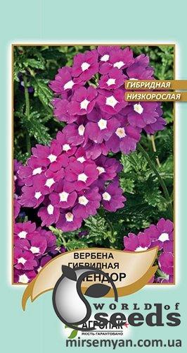 Вербена Сплендор, низкорос. 0,1г А Вербена Сплендор, низкорос. 0,1г А