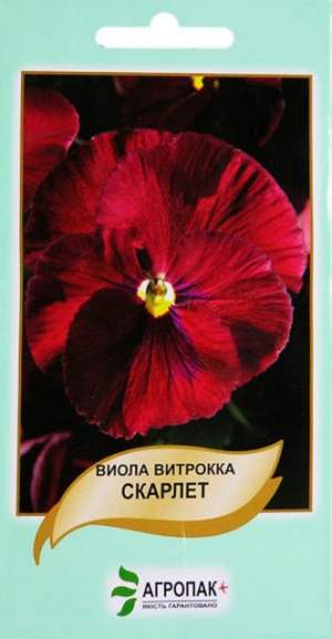 Виола Скарлет 0,1г А Виола Скарлет 0,1г А