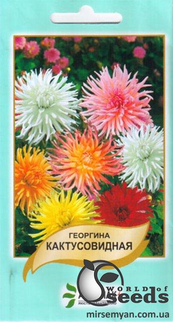 Георгина Кактусовидная 20 семян. А Георгина Кактусовидная 20 семян. А