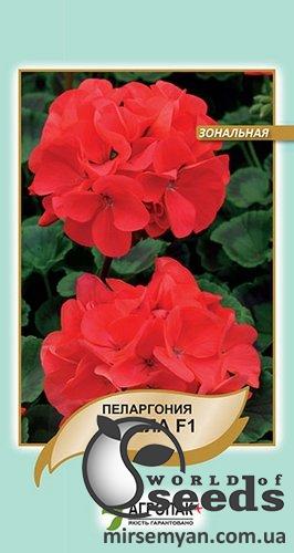 Пеларгония зональная Гизела F1 5 cемян. А Пеларгония зональная Гизела F1 5 cемян. А