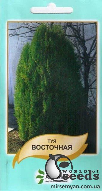 Туя восточная 20н А Туя восточная 20н А