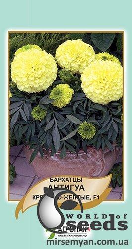 Бархатцы Антигуа кремово-желтые 10 семян. А Бархатцы Антигуа кремово-желтые 10 семян. А