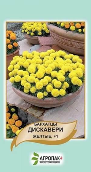 Бархатцы Дискавери желтые 10 семян. А