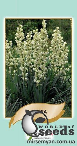 Юкка 5 семян. А Юкка 5 семян. А