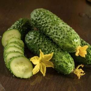 Огурец Абсолют F1 250 семян. (Bejo) Огурец Абсолют F1 250 семян. (Bejo)