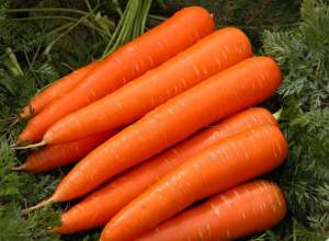 Морковь Мулета F1 (1,6-2,0мм) 100 000н Клоз