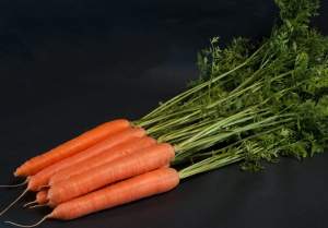 Морковь Санторин F1 (2,0-2,25мм) 500 000н Клоз