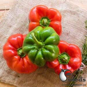 Перец Вангард F1 5000 семян. (Clause)