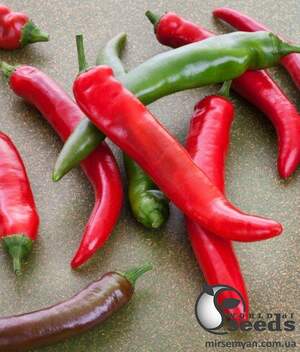 Перец Импала (Бибо) F1 острый 5 г. (Clause)