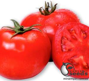 Помидоры Акела F1 5000 семян. (Clause) Помидоры Акела F1 5000 семян. (Clause)