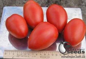 Помидоры Колибри F1 250 семян. (Clause) Помидоры Колибри F1 250 семян. (Clause)