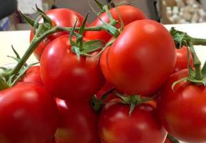 Помидоры Маско F1 250 семян. (Clause)
