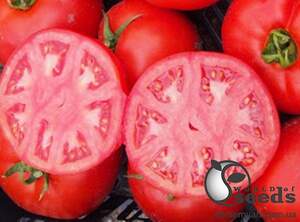 Томат Рыхам F1 5 000 семян. (Clause)