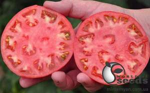 Помидоры Ханни Мун F1 250 семян. (Clause) Помидоры Ханни Мун F1 250 семян. (Clause)