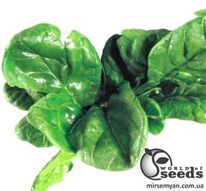 Шпинат Лагос 250 гр. (Clause)