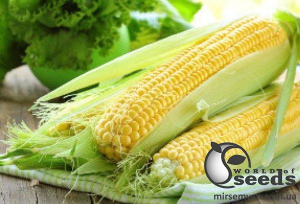 Кукуруза Мирус F1 5 000 семян. Cora Seeds Кукуруза Мирус F1 5 000 семян. Cora Seeds