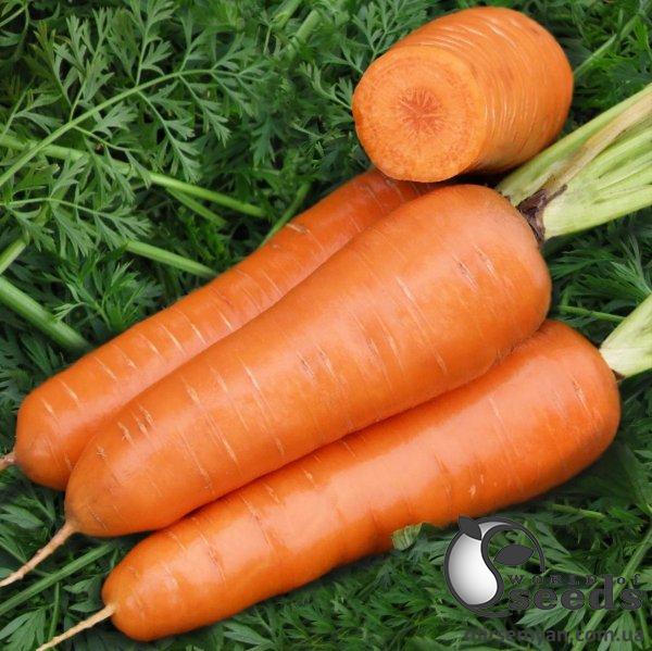 Морковь Шантане Ред Коред (2,0) 250г Азия Сид Морковь Шантане Ред Коред (2,0) 250г Азия Сид