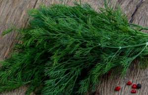 Укроп Дилл 0,5кг ESASEM Укроп Дилл 0,5кг ESASEM