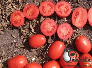 Помидоры Апгрейд F1 1000 семян. (ESASEM) Помидоры Апгрейд F1 1000 семян. (ESASEM)