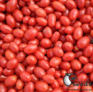 Помидоры Дольчесио F1 500 семян. (ESASEM) Помидоры Дольчесио F1 500 семян. (ESASEM)