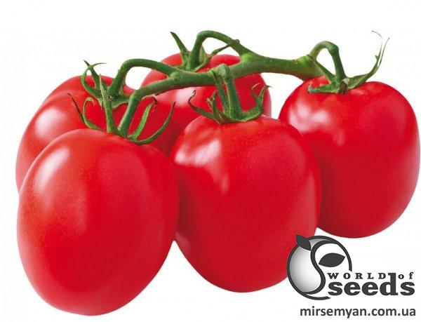Помидоры Эдвайзор F1 1000 семян. (ESASEM) Помидоры Эдвайзор F1 1000 семян. (ESASEM)