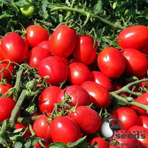 Помидоры Реди F1 1000 семян. (ESASEM) Помидоры Реди F1 1000 семян. (ESASEM)