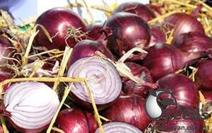 Лук Зен F1 100 000 семян. (ESASEM)