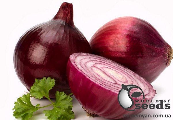 Лук Зен F1 100 000 семян. (ESASEM) Лук Зен F1 100 000 семян. (ESASEM)