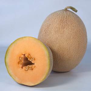 Дыня КS 6147 F1 100 семян. (Kitano) Дыня КS 6147 F1 100 семян. (Kitano)