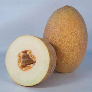 Дыня КS 6188 F1 100 семян. (Kitano) Дыня КS 6188 F1 100 семян. (Kitano)