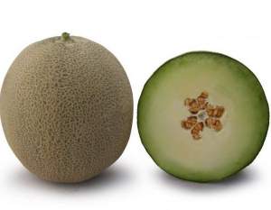 Дыня КS 7044 F1 100 семян. (Kitano) Дыня КS 7044 F1 100 семян. (Kitano)