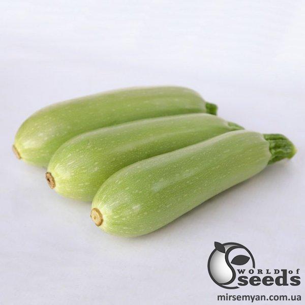 Кабачок КS 1241 F1 1000 семян. (Kitano) Кабачок КS 1241 F1 1000 семян. (Kitano)