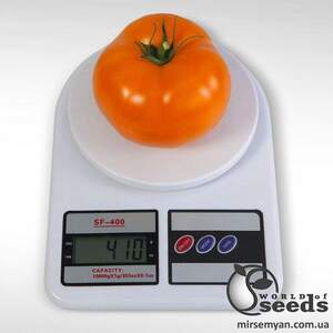 Помидоры Айсан F1 500 семян. (Kitano) Помидоры Айсан F1 500 семян. (Kitano)