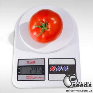 Помидоры Анита F1 1000 семян. (Kitano)