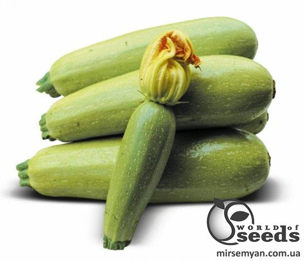 Кабачок Муфаса F1 2500 семян. (Lark Seeds) Кабачок Муфаса F1 2500 семян. (Lark Seeds)