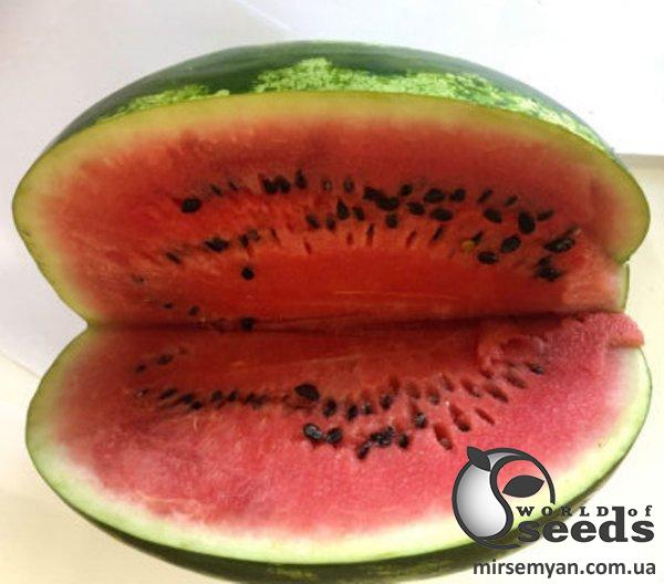 Арбуз Дата F1 1000 семян. (Lark Seeds) Арбуз Дата F1 1000 семян. (Lark Seeds)