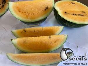 Арбуз Оранж Лакшери F1 500 семян. (Lark Seeds)