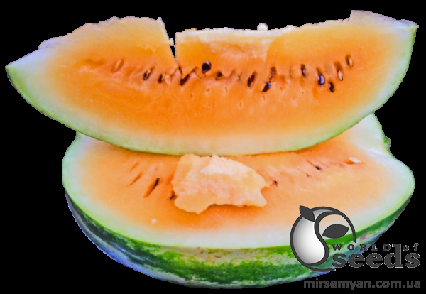 Арбуз Оранж Лакшери F1 500 семян. (Lark Seeds) Арбуз Оранж Лакшери F1 500 семян. (Lark Seeds)