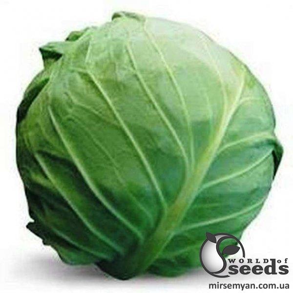 Капуста Посадена F1 2 500 семян. (Lark Seeds) Капуста Посадена F1 2 500 семян. (Lark Seeds)