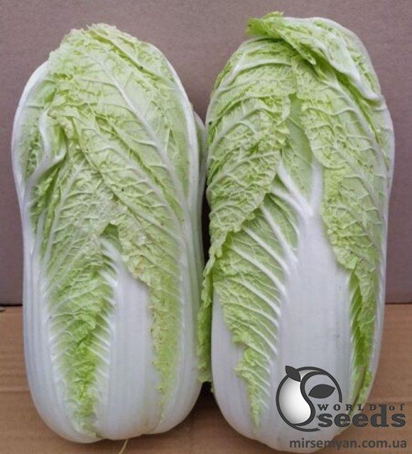 Капуста пекинская Индекс F1 2500 семян. (Lark Seeds) Капуста пекинская Индекс F1 2500 семян. (Lark Seeds)