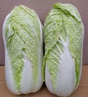 Капуста пекинская Индекс F1 2500 семян. (Lark Seeds)