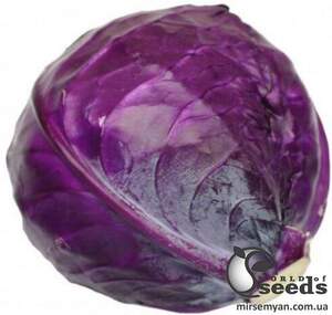 Капуста Техас F1 2500 семян. (Lark Seeds)