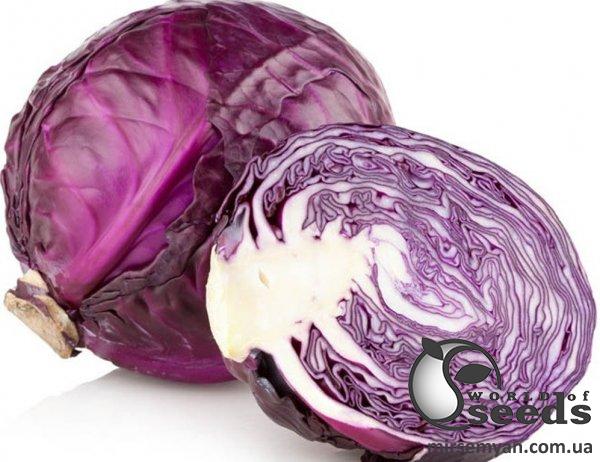 Капуста Техас F1 2500 семян. (Lark Seeds) Капуста Техас F1 2500 семян. (Lark Seeds)