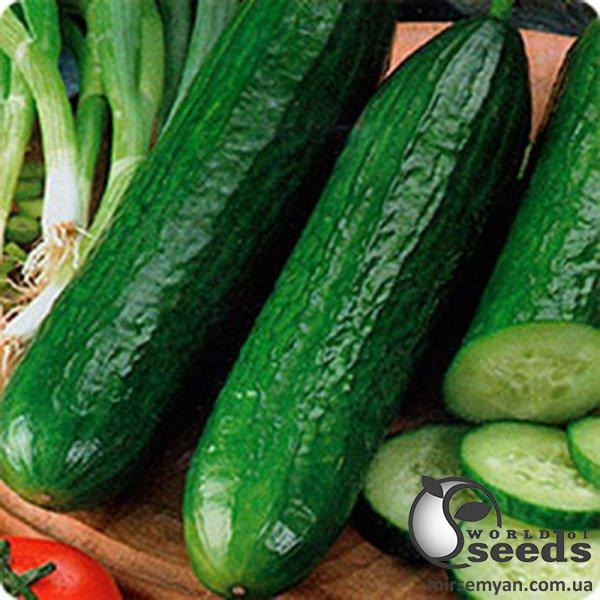 Огурец Пис F1 100 семян. (Lark Seeds) Огурец Пис F1 100 семян. (Lark Seeds)