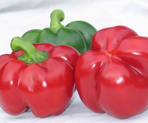 Перец Уилд F1 500 семян. (Lark Seeds) Перец Уилд F1 500 семян. (Lark Seeds)