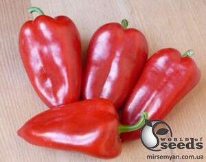 Перец Магус F1 500 семян. (Lark Seeds)